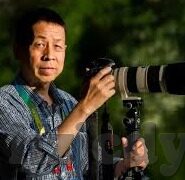 麻豆91传媒视频-探索成人文化多视角，麻豆91传媒视频的社会视野