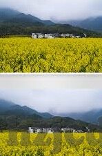 麻豆传媒映画app-麻豆传媒 映画app，观影体验的新启示