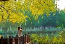 麻豆久久91精品国产-从找到到懂得，揭开麻豆久久91精品国产的世界之谜