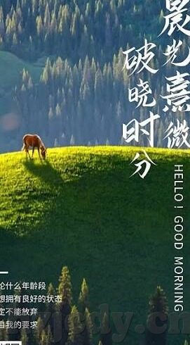 美日韩Av片-跨越文化边界，美日韩AV片现象的多元透视