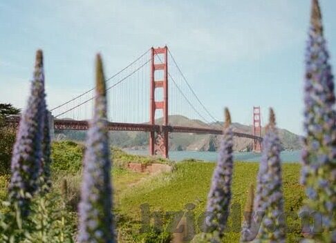 糖心app怎么玩的-体验甜蜜的旅程，探索糖心APP的多样玩法